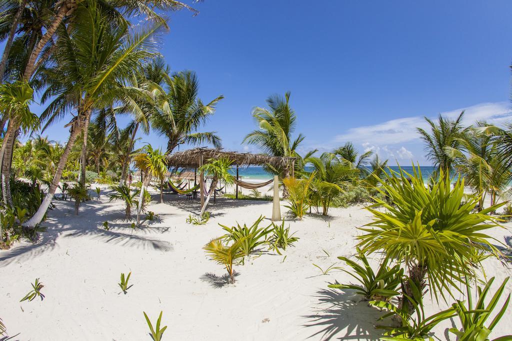 MESTIZO GALLERY TULUM - BOOK YOUR STAY IN ADVANCE AND SAVE ON GREAT RATES